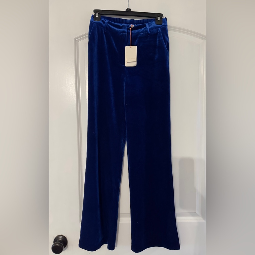 NWT! Blue Velvet Trousers